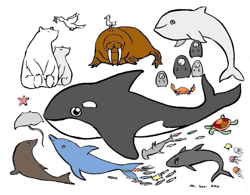 Marine Animals